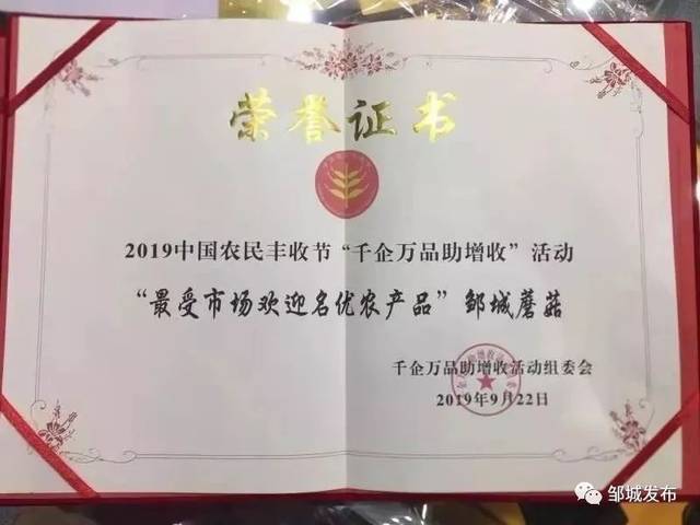 “邹城蘑菇”获评2019中国农民丰收节“最受市场欢迎名优农产品”