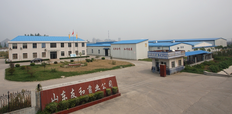 山东友和生物科技股份有限公司