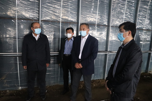山东农学会专家来我市调研食用菌产业发展情况