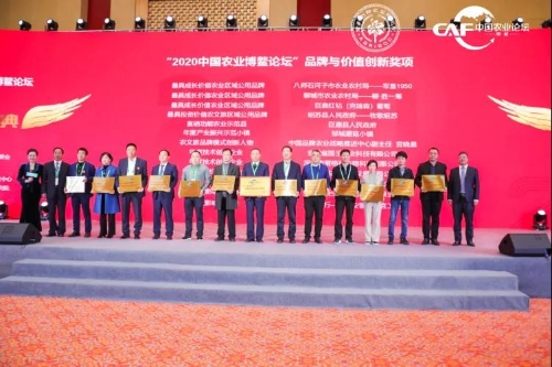 邹城蘑菇小镇获评“年度产业振兴示范小镇”