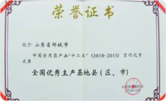 全国优秀生成基地