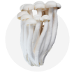 白玉菇