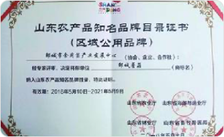 山东省知名品牌