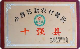 国家十强县