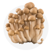 蟹味菇